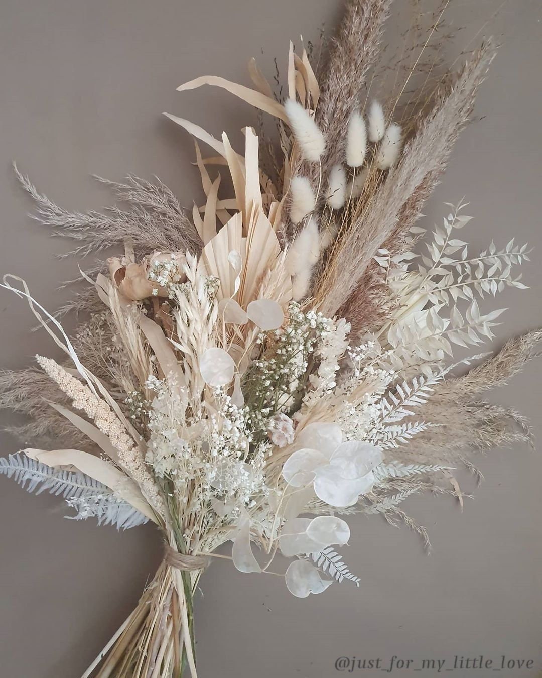 Bunny Tails Ornamental Grass 50 Seeds, Dried Flower Seeds, Bouquet Filler, Wedding Flowers, Cut Flowers