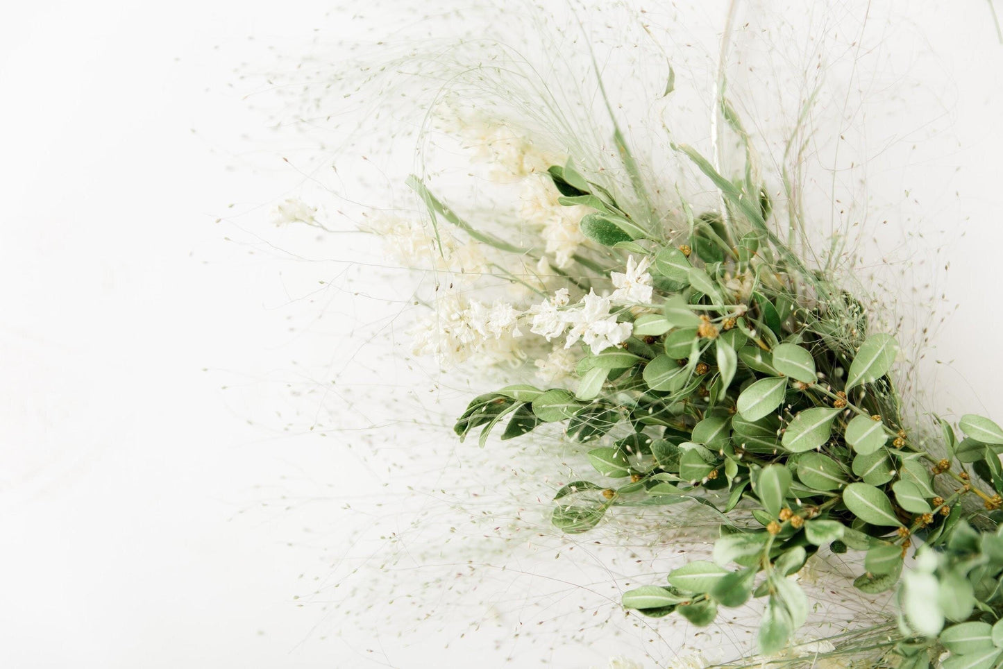 Frosted Explosion Grass