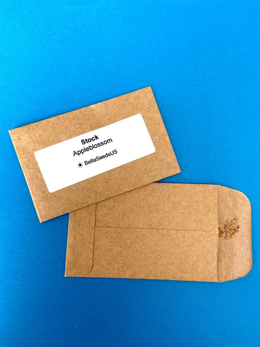 Thunbergia O'Susannah Alba