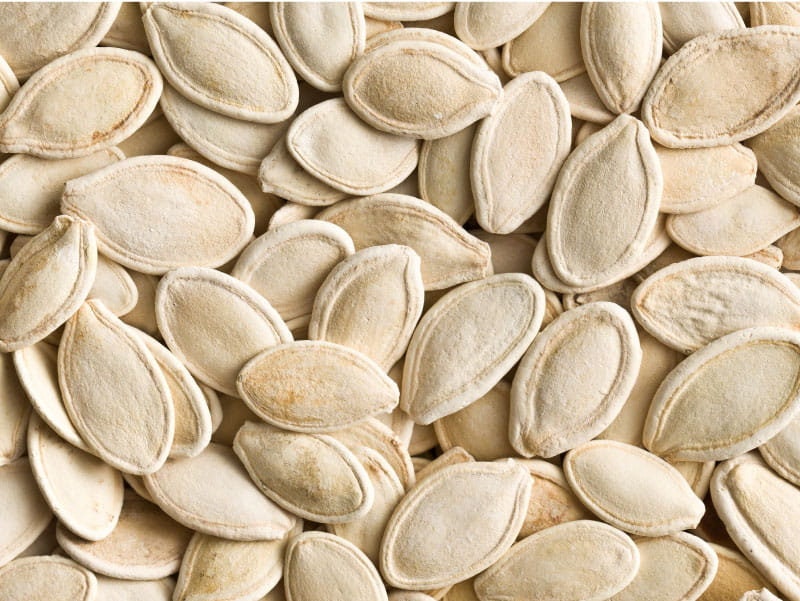 Musquee de Provence Pumpkin Seeds, 5 Seeds, Garden Seeds, Vertical Growing, Vegetable seeds, Gardening, Jack O Lantern, Fall Decor