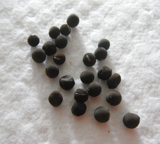 Sweet Pea Incense Mix