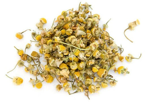 Roman Chamomile