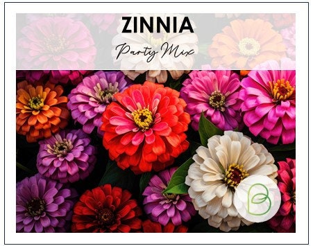 Zinnia Party Mix