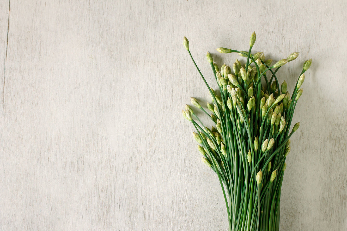 Garlic Chives