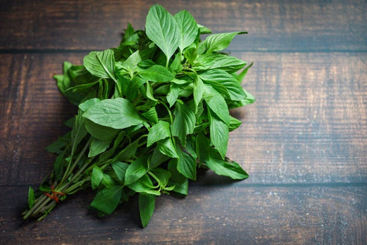 Basil Thai