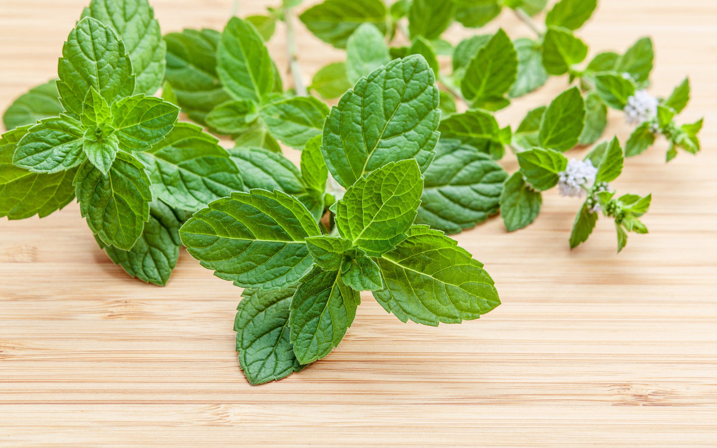 Peppermint
