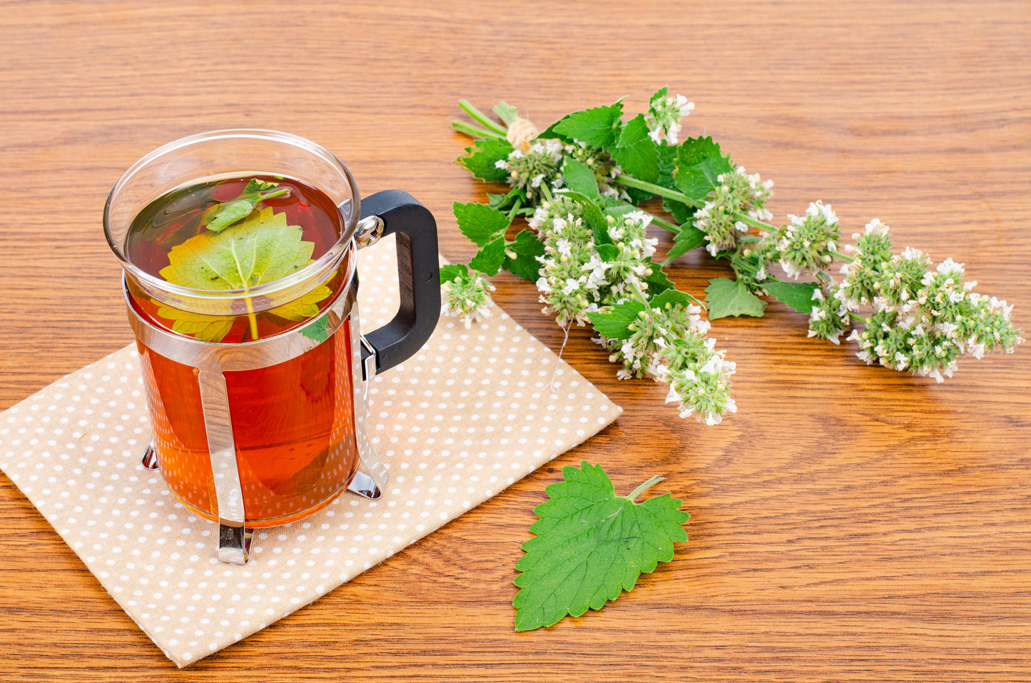 Lemon Balm