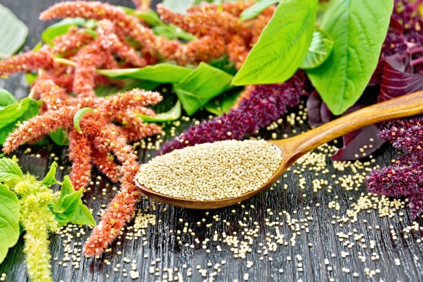 Amaranth Hot Biscuits
