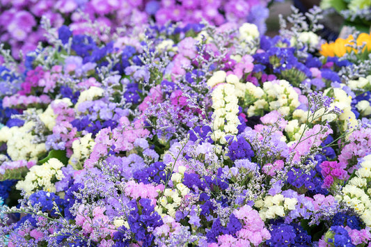 Statice Petite Bouquet Mix