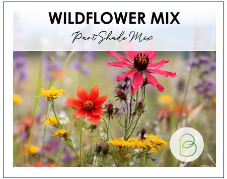 Part-Shade Wildflower Mix Seeds, 1 gram, Wildflower seeds