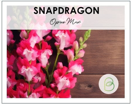 Snapdragon Opus Mix