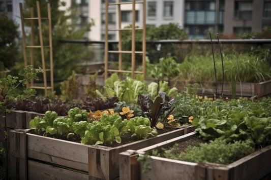 Build your Own Heirloom Herb Seed Bundle, Wide Selection - Choose from the List or Purchase the Collection