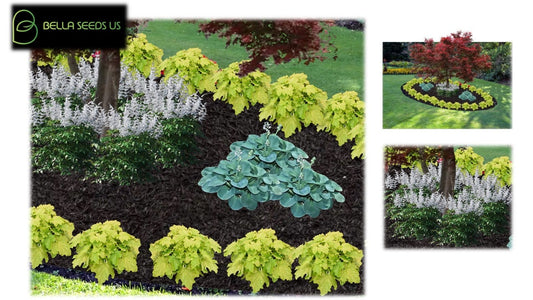 Shade Garden Concept, Comprehensive pre-made landscape plans, PDF instant digital download, Easy Grow, Perennial Flowerbed Plans, Zones 5-8