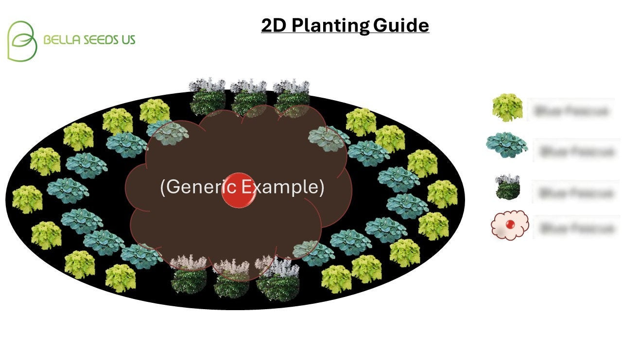 Shade Garden Concept, Comprehensive pre-made landscape plans, PDF instant digital download, Easy Grow, Perennial Flowerbed Plans, Zones 5-8