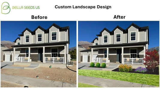 Premade Simple Landscape Plan for Front Beds, Low Maintenance, Easy to Grow, Perennial Flowerbed Plans, Zones 5-9