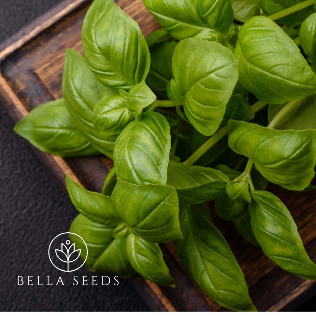 Basil Everleaf Thai Towers 25 Seeds