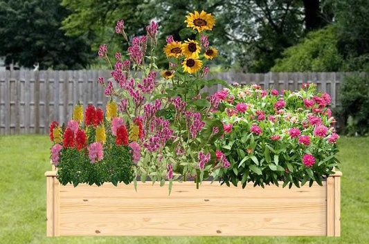 Beginner Cut Flower Garden Design Plan, Premade Garden Design, Easy to Grow, Pollinator Garden, Grow Annuals from Seed