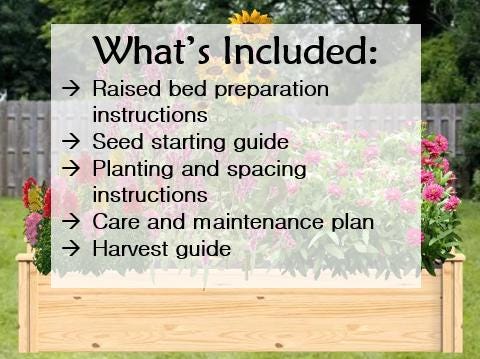 Beginner Cut Flower Garden Design Plan, Premade Garden Design, Easy to Grow, Pollinator Garden, Grow Annuals from Seed