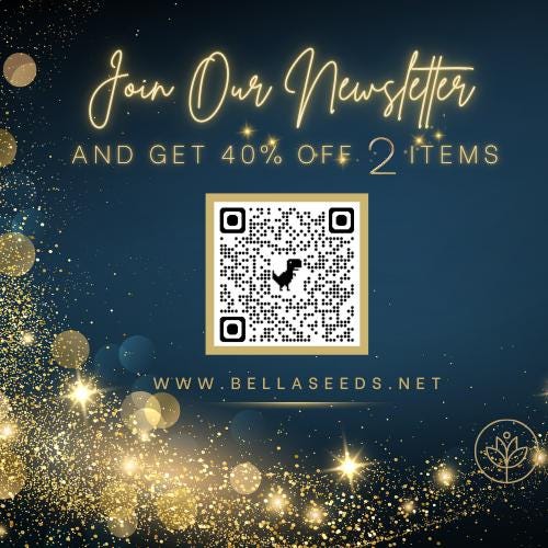 Strawflower King Size Bright Rose