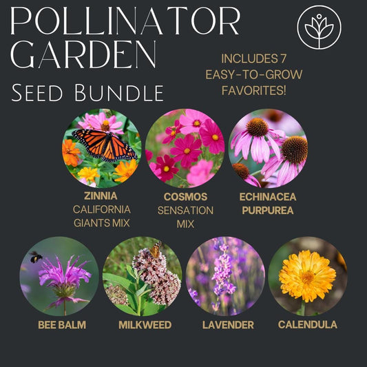 Pollinator Garden Seed Flower - 7 Flower Seeds - Attracts Bees and Butterflies - Garden Gift