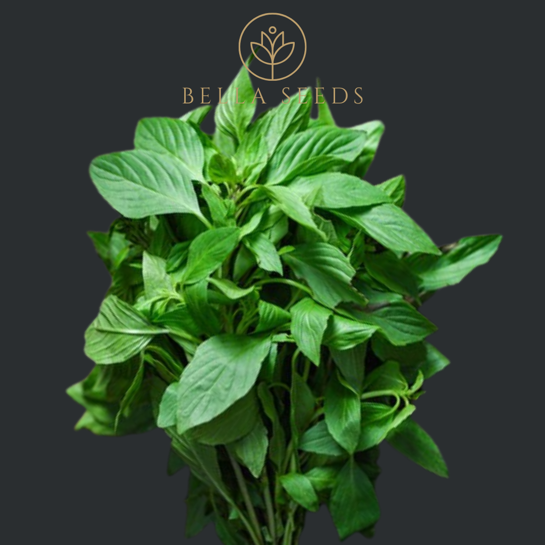 Basil Thai