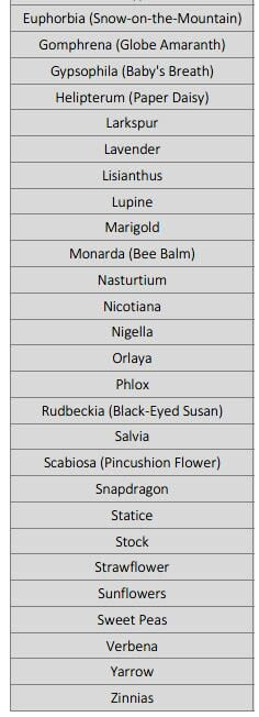 Cut Flower Seed Sowing Calendar - Zone 5