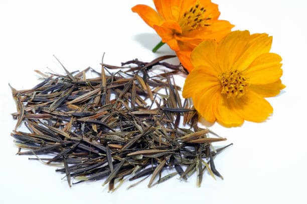 Cosmos Apricotta