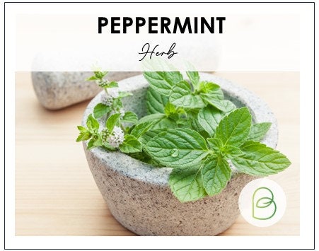 Peppermint