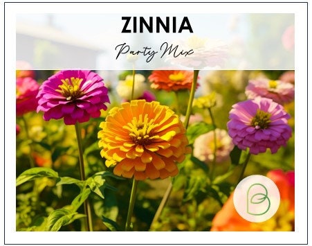 Zinnia Party Mix