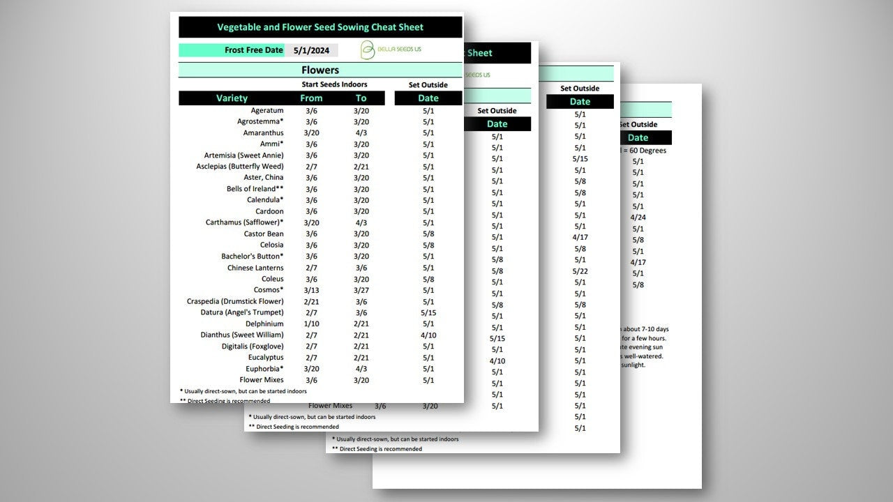 2024 Seed Starting Cheat Sheet Zone 3 4 Last Frost 5/1/2024for Vegetables, Flowers, and Herbs (printable PDF), Gardening, Seed Sowing Guide