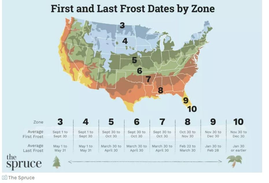 2024 Seed Starting Cheat Sheet Zone 5 Last Frost 4/30/2024 Vegetables, Flowers, and Herbs (printable PDF), Gardening, Seed Sowing Guide