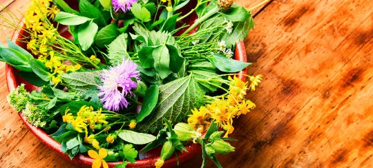 Medicinal Herb Seed Bundle, Heirloom Seeds, Survival Garden Planting, Rare Seeds, Herbs, Non-GMO, Gift, Emergency Garden, Free Shipping