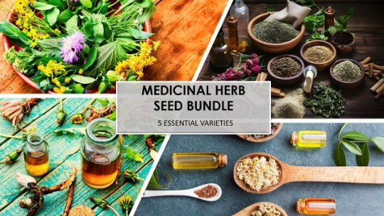 Medicinal Herb Seed Bundle, Heirloom Seeds, Survival Garden Planting, Rare Seeds, Herbs, Non-GMO, Gift, Emergency Garden, Free Shipping