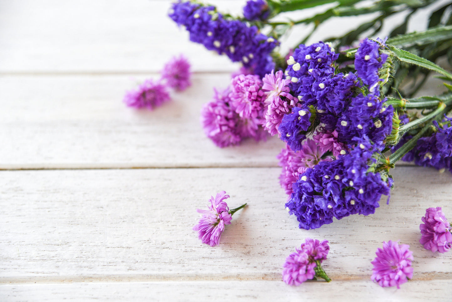 Statice Petite Bouquet Mix