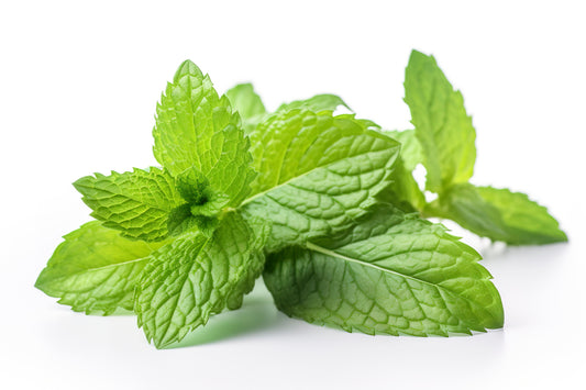 Peppermint
