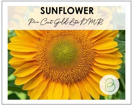 Sunflower Procut Gold Lite DMR