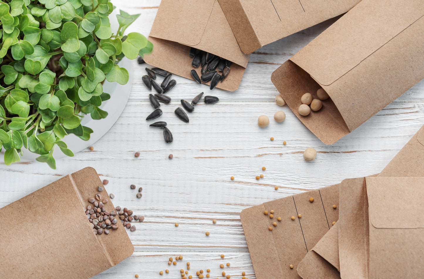 Build your Own Heirloom Herb Seed Bundle, Wide Selection - Choose from the List or Purchase the Collection