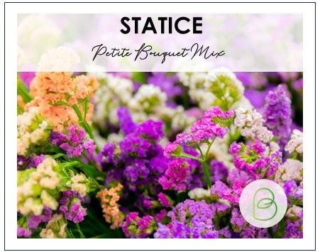 Statice Petite Bouquet Mix