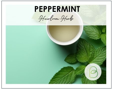 Peppermint