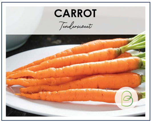 Carrot Tendersweet