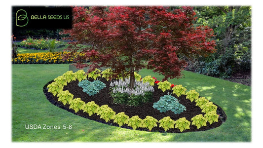 Shade Garden Concept, Comprehensive pre-made landscape plans, PDF instant digital download, Easy Grow, Perennial Flowerbed Plans, Zones 5-8