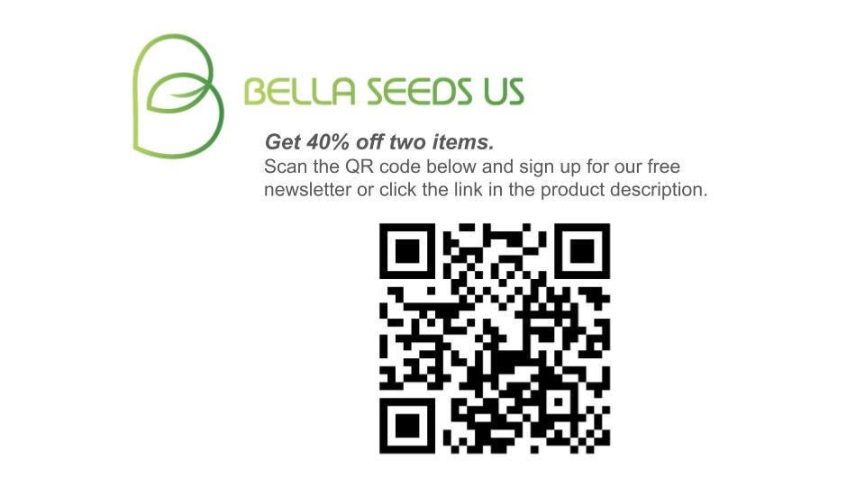 Zinnia Zahara Starburst