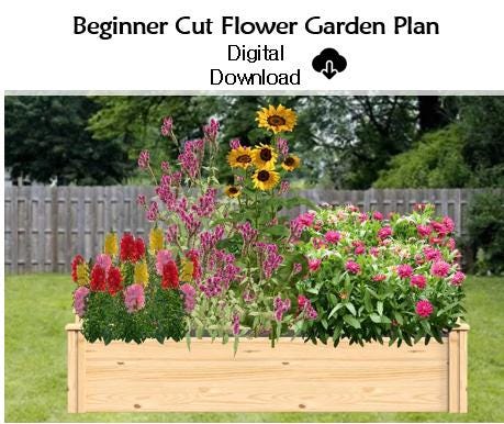 Beginner Cut Flower Garden Design Plan, Premade Garden Design, Easy to Grow, Pollinator Garden, Grow Annuals from Seed