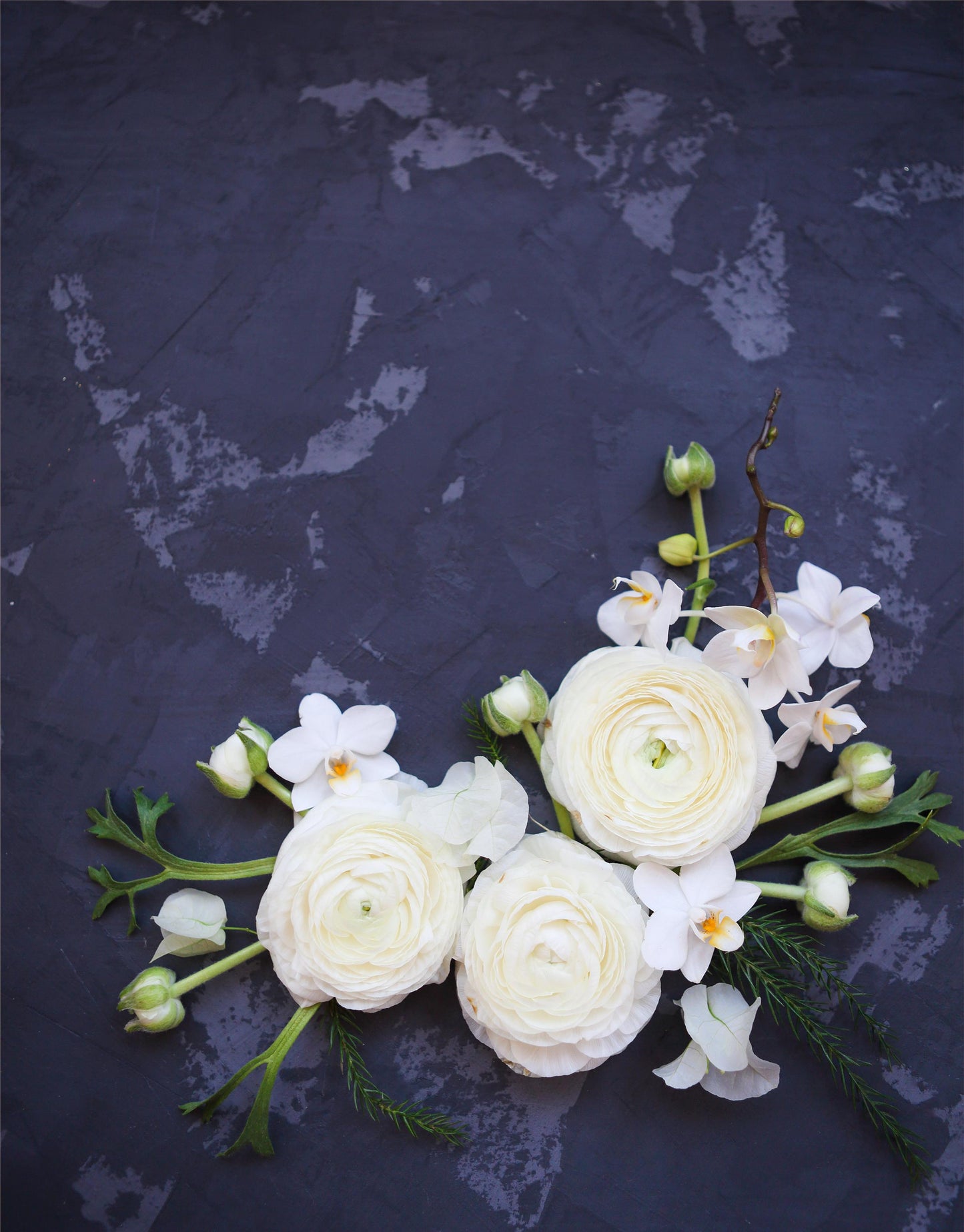 Ranunculus Half Clone Iceberg