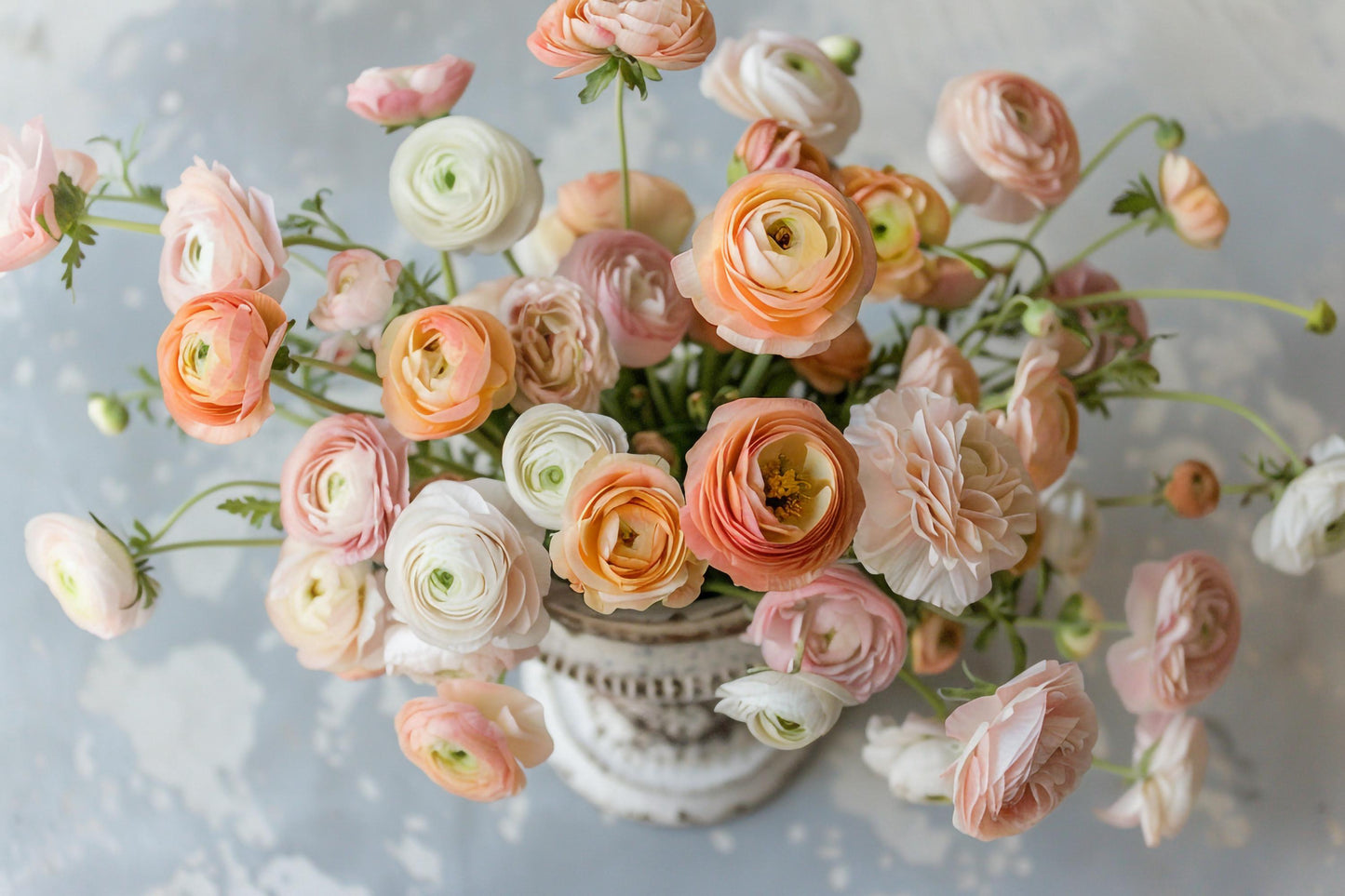 Half Clone Wedding Pastel