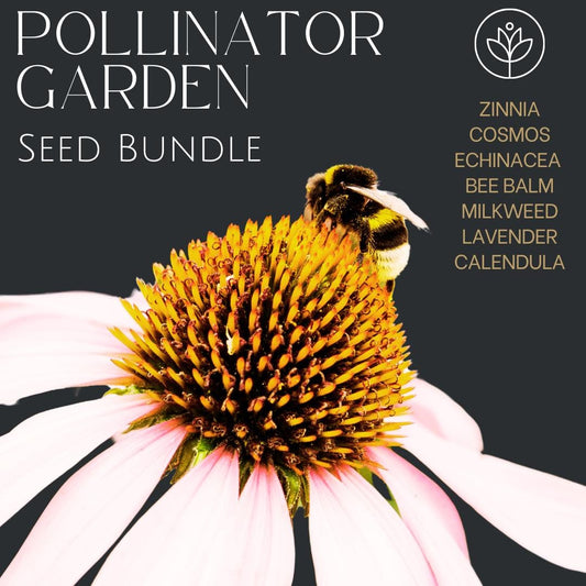 Pollinator Garden Seed Flower - 7 Flower Seeds - Attracts Bees and Butterflies - Garden Gift